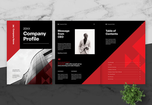 Red And Black Corporate Company Profile