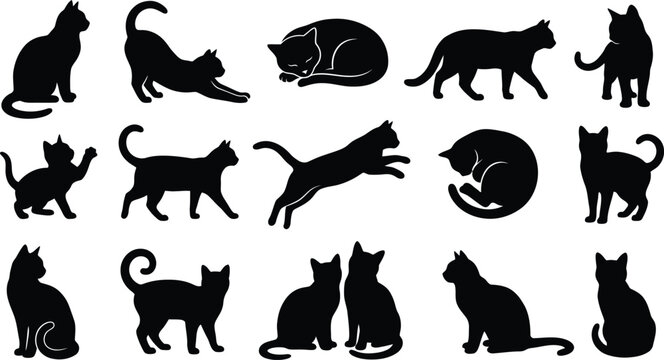 Fifteen black cat silhouettes in various poses including sitting, stretching, sleeping, jumping, and standing on a white background surface