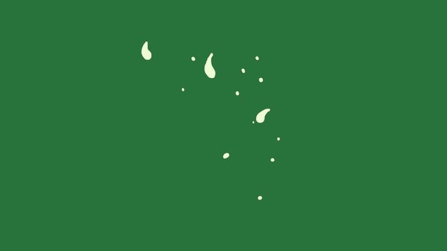 Silhouette of bear on screen an logo man map layers motion composition frame scene design creative isolated on green screen background
