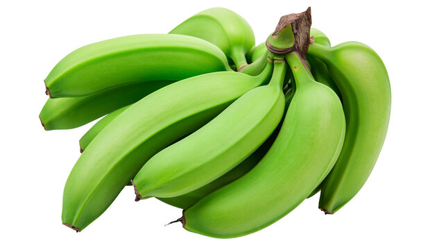 Bunch of unripe green bananas