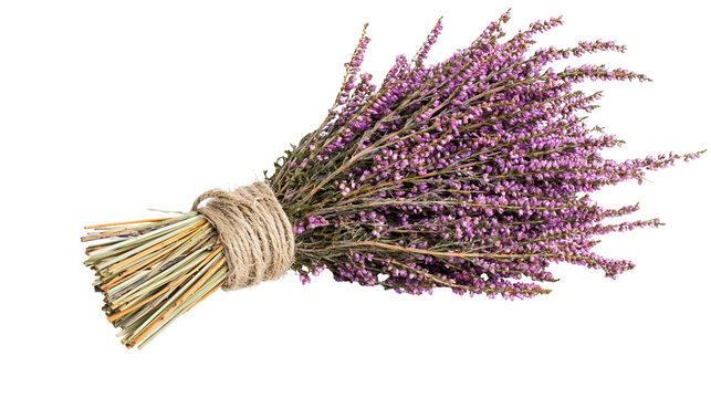 Bouquet of purple heather flowers tied with jute rope
