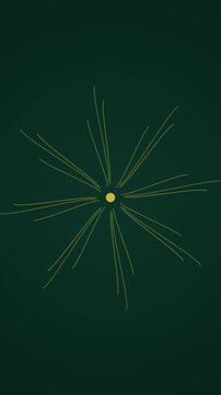 Radiant Burst in Dark Green Background Creating Center Gold Dot with Spokes