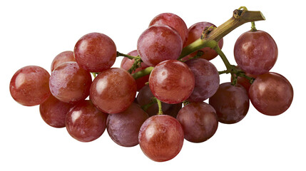 Red globe grapes on vine stem © Elvin