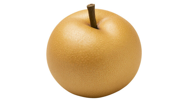 Golden Asian Pear with Stem
