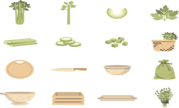 Set of fresh celery vegetable vector icons in flat style including stalks leaves and kitchen prep tools