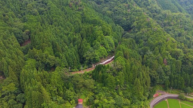 Nankai Railway Limited Express "Koya" train bound for Koyasan, passing through Hosokawa, Koya Town, Wakayama Prefecture, Japan　「高野山に向かう特急こうや」和歌山県高野町細川