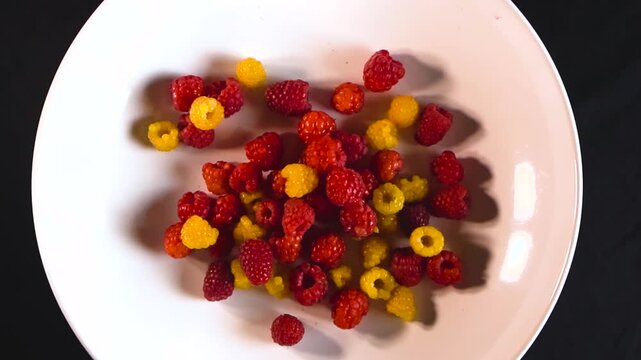Freshly picked red and yellow raspberries slowly rotating on a white plate against a black background. Juicy, ripe, and delicious berries ready for a healthy meal or dessert