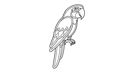 Tropical macaw parrot perched line art coloring page © shea