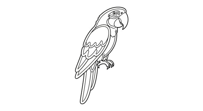 Tropical macaw parrot perched line art coloring page