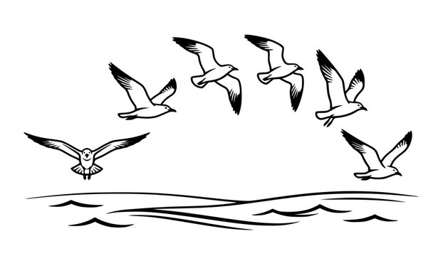 Seagulls flock flying in an arc over ocean waves vector illustration black and white silhouette of marine birds isolated on white background for coastal branding