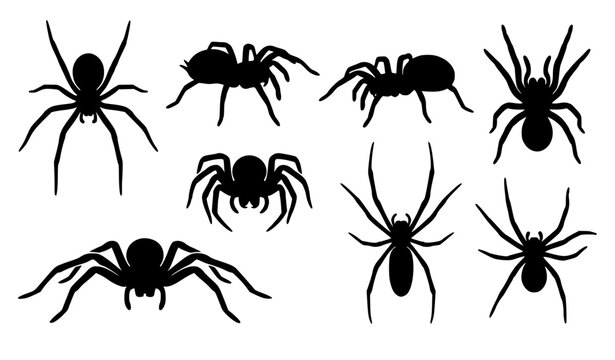 Spider silhouette vector illustration collection of various arachnid insects tarantulas and creepy crawlers isolated on white background for Halloween decor and logo design