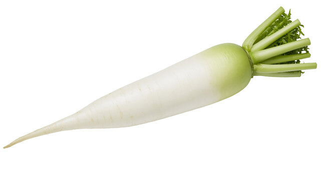 Long white daikon radish with green leafy tops