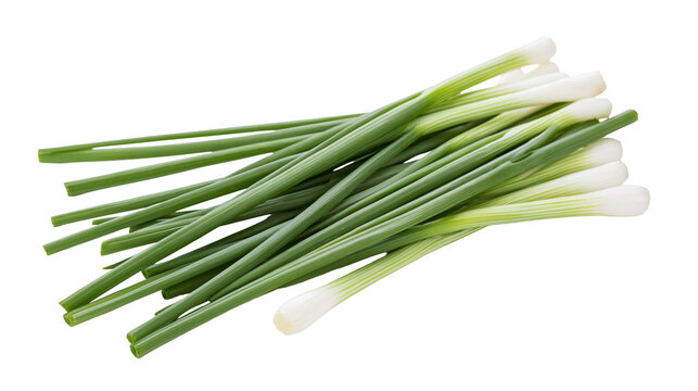 Fresh green spring onions with white bulbs
