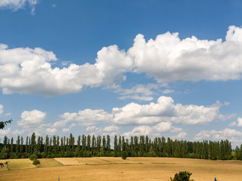 Beautiful rural landscape with golden field under blue cloudy sky