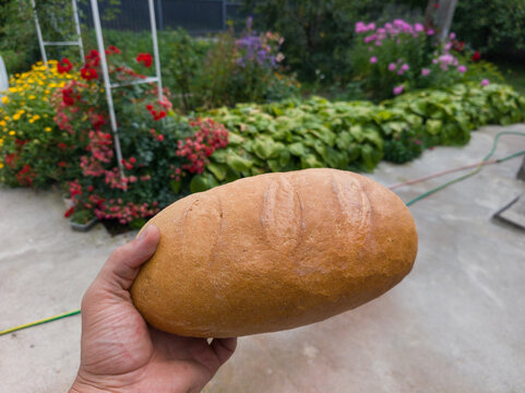 Homemade golden crusty bread loaf held in human hand