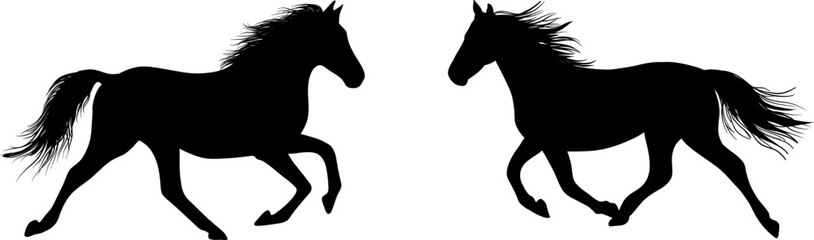 Black silhouettes of two running horses, wild mustang stallions trotting vector illustration © axynia