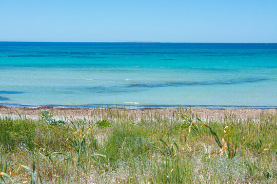 Turquoise ocean water meeting sandy beach with dunes