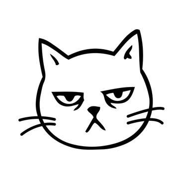 Cat head annoyed potrait doodles on transparent background
