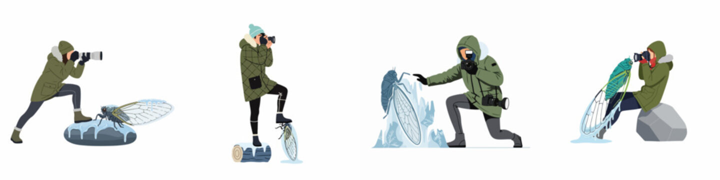 Set of illustrations depicting photographers in winter clothing capturing macro images of frozen cicadas in ice.