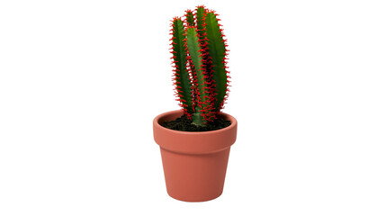 Green cactus with red spines in terracotta pot © Veikko