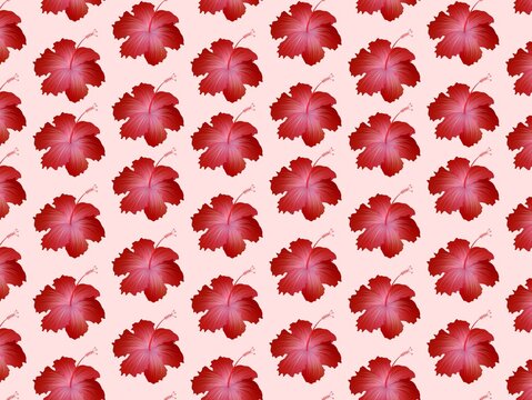 Red hibiscus flowers (Hibiscus rosa-sinensis) are arranged in a repeating pattern on a light pink background. The flowers' vibrant petals and characteristic long stamens create a striking contrast aga