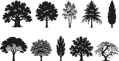 Fototapeta premium Detailed Tree Silhouettes Vector Set - Diverse Forest, Park, and Garden Botanical Shapes