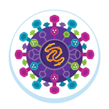 Virus Particle Detailed Structure Illustration.