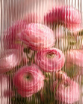 Pink ranunculus blur behind ribbed glass in an artistic floral slow life composition with soft dopamine colors, forming a romantic cottagecore background for beauty, wellness and lifestyle design.
