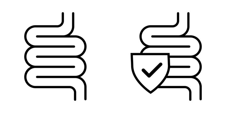 Digestive Health and Gut Protection Icons in Minimal Line Art Vector Style