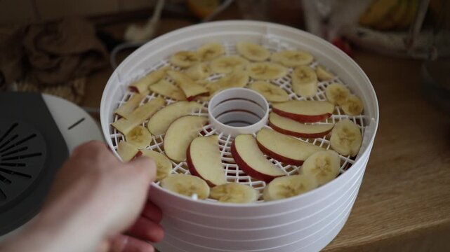 Fresh apple and banana slices are arranged inside a food dehydrator before drying for homemade fruit chips healthy snacks natural food preservation and storage