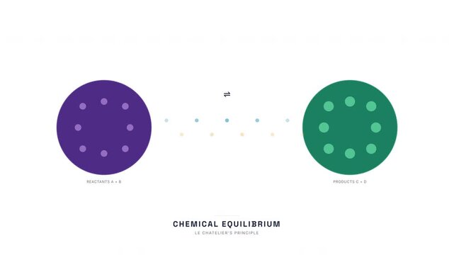 Chemical Equilibrium Dynamic Balance Animation &mdash; Reversible Reaction Le Chatelier Loop