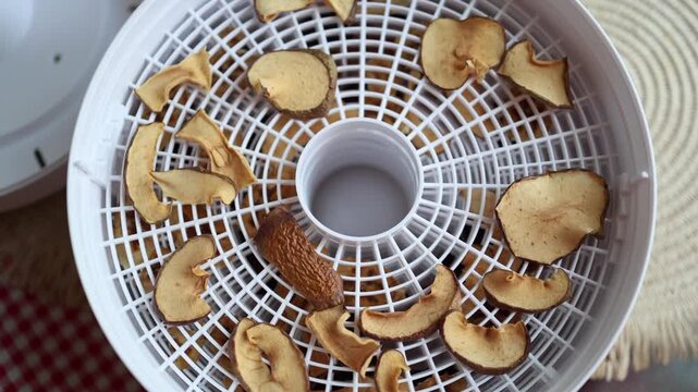 Homemade dried apple slices dehydrate inside food dryer creating healthy natural snack preserving fresh fruit for long term storage and everyday nutrition use
