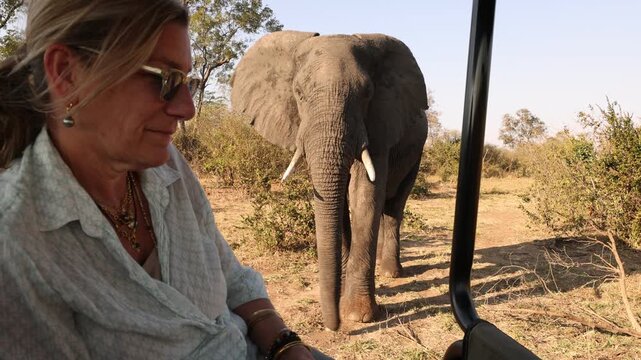 woman looking at elephants, Zambezi National Park, Zimbabwe, Africa