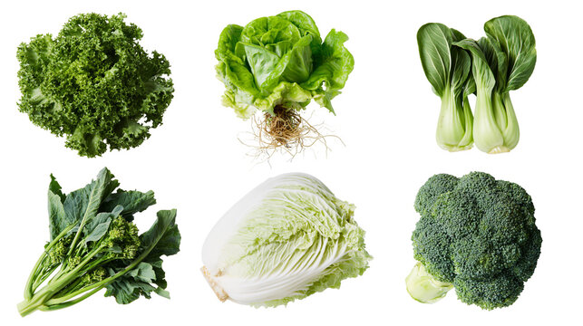 Assortment of fresh green leafy vegetables and cruciferous vegetables