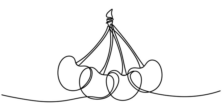 Continuous single line drawing of a bunch of four sweet cherries Vector, illustration