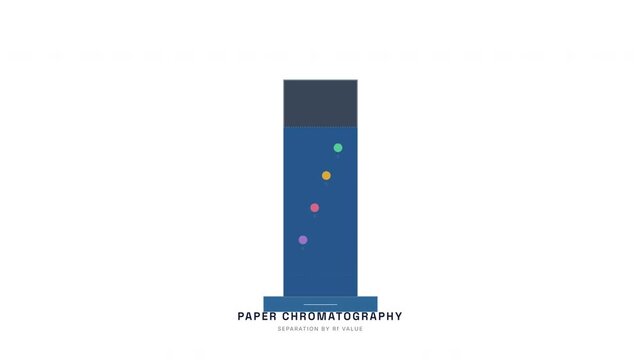 Paper Chromatography Separation Animation &mdash; Rf Value Pigment Analysis Chemistry Loop