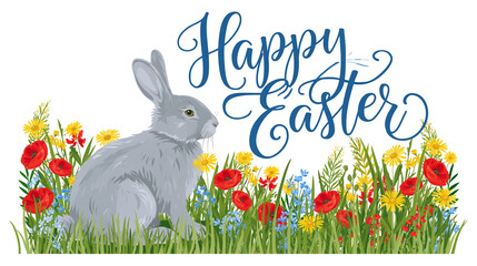 Gray rabbit in field of red poppies and yellow daisies