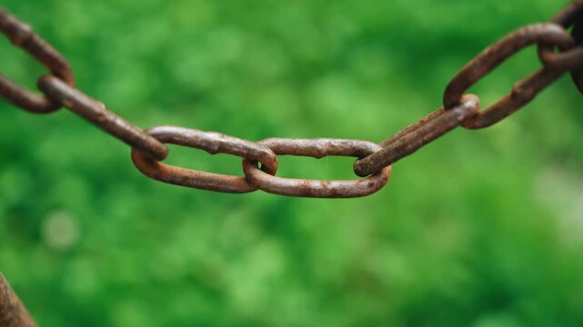 A metal chain is hanging on a background of green grass. It connects and secures the metal gates.