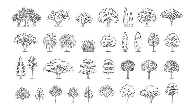Sustainable Landscape Tree CAD Blocks Elevation Architectural Vector Symbol Collection