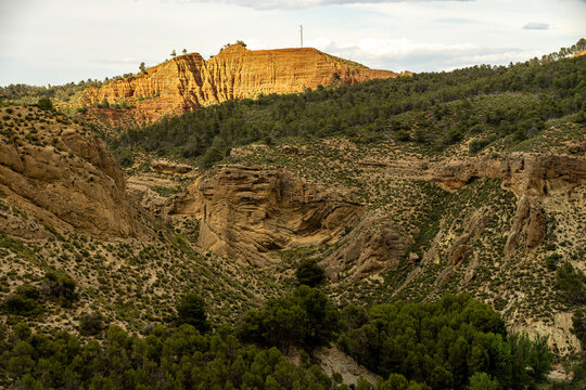 Rocky canyon and pine forest landscape in La Peza Granada Spain
