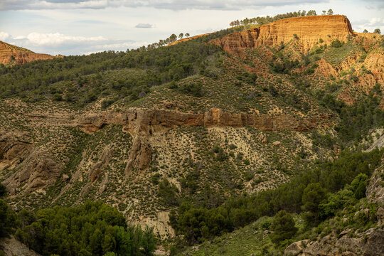 Rocky canyon and pine forest landscape in La Peza Granada Spain