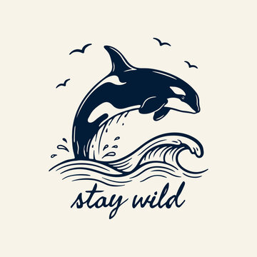 Orca whale leaping over ocean waves with stay wild quote vector illustration. Vintage killer whale breaching ocean wave with birds and typography design. 