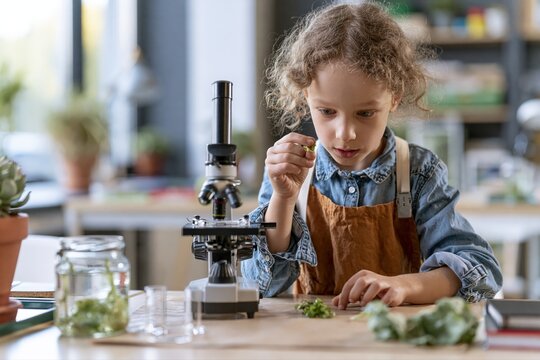Une fillette curieuse examine des plantes avec un microscope en classe