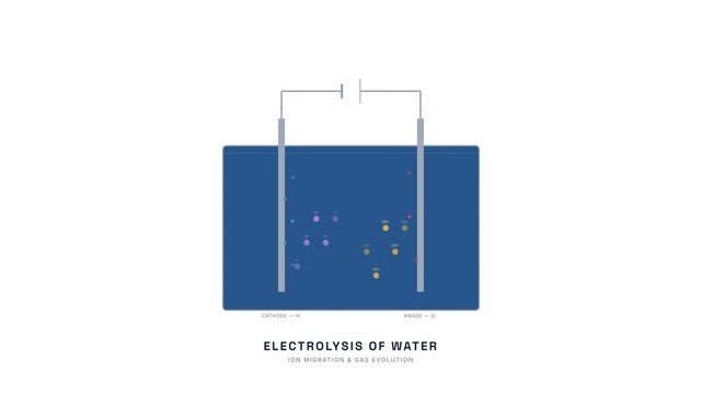 Electrolysis Water Splitting Animation &mdash; Electrode Ion Migration Chemistry Education Loop
