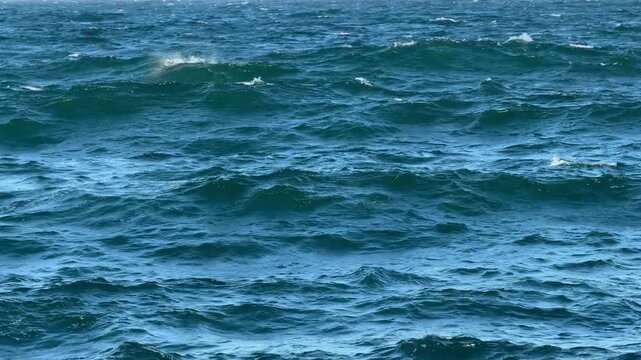 Surface water of the ocean in False Bay, near Cape Town, South Africa