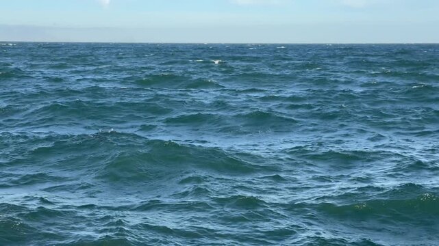 Ocean and blue sky with the horizon in the distance.