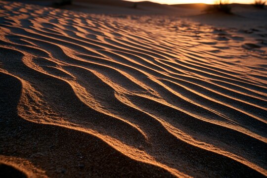 Desert sand dunes showing global warming effects