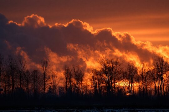 Global warming sky over a polluted forest silhouette