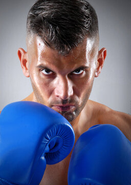 Boxing fighter portrait wearing blue boxing gloves.