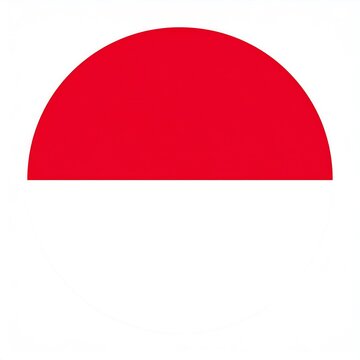 A simple red semicircle graphic centered on a clean white background.